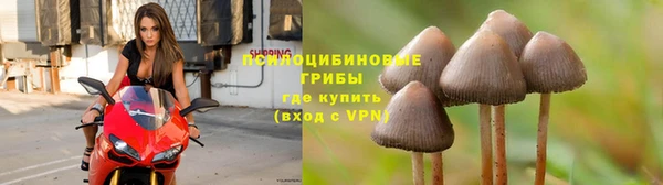 крисы Навашино