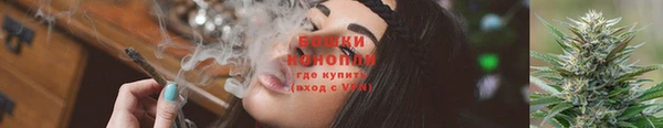 амф Надым