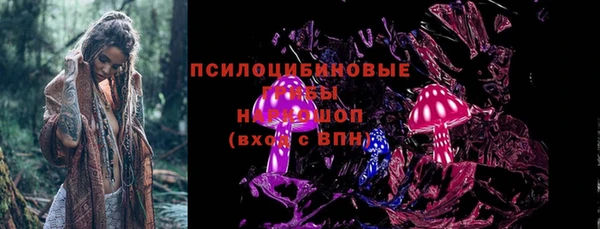 амф Надым