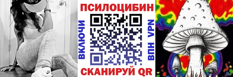 Купить  Кимовск  Галлюциногенные грибы GOLDEN TEACHER 
